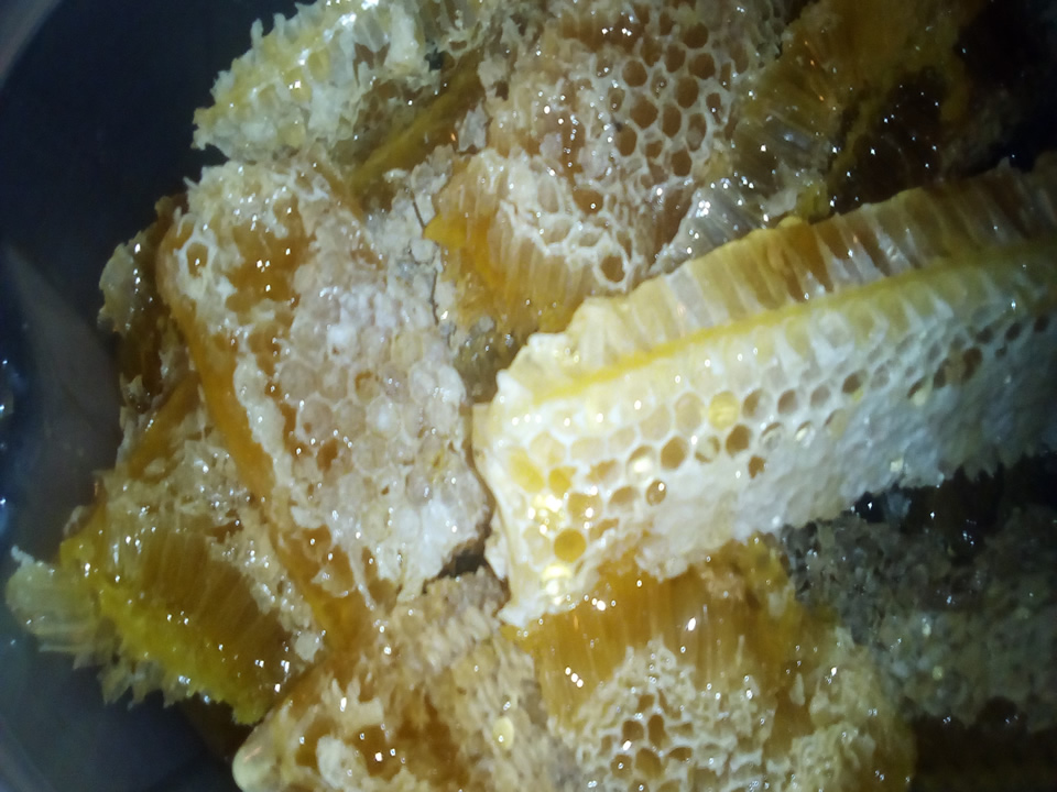 Κηρήθρα με μέλι